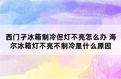 西门孑冰箱制冷但灯不亮怎么办 海尔冰箱灯不亮不制冷是什么原因